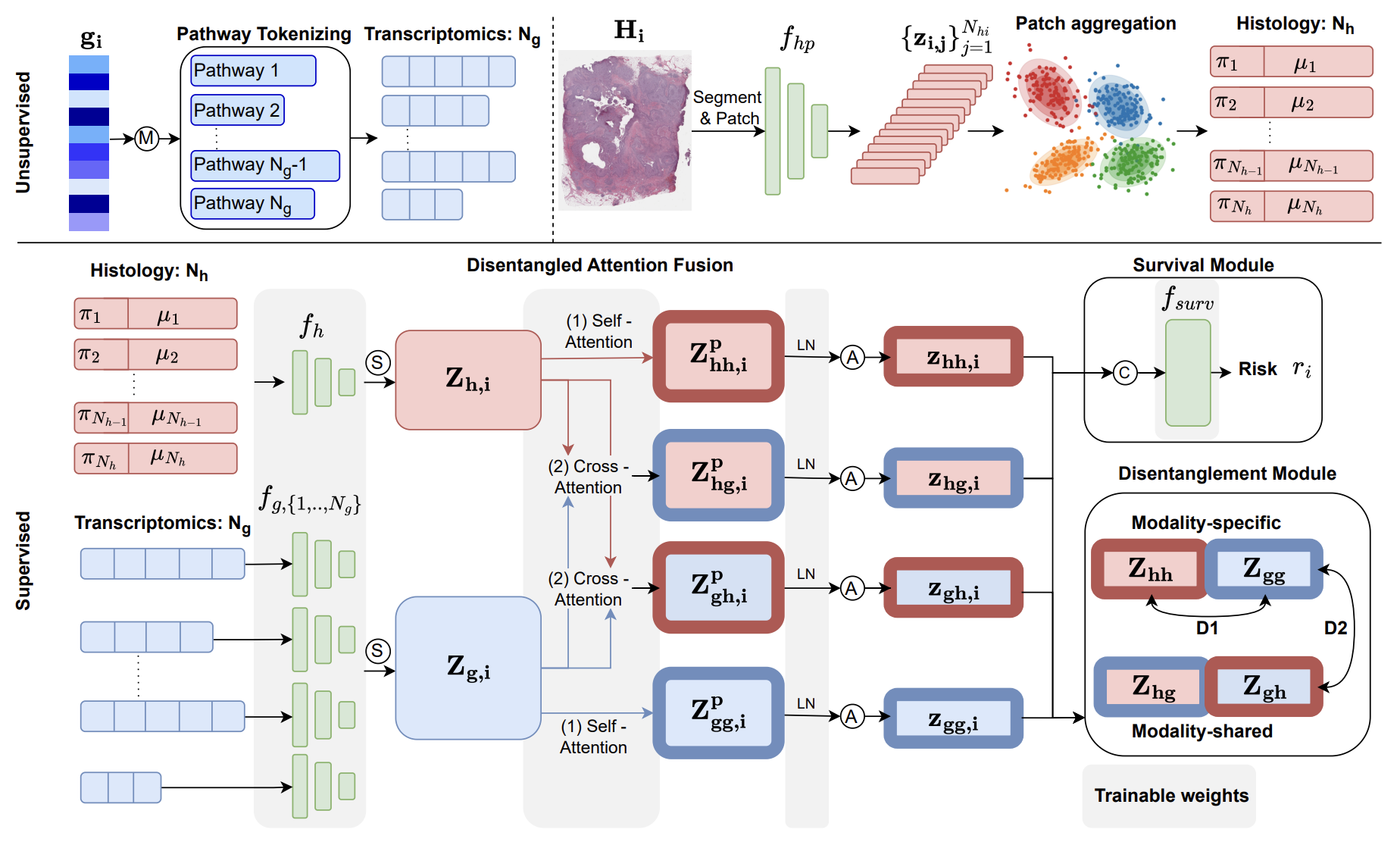 Figure for paper 1